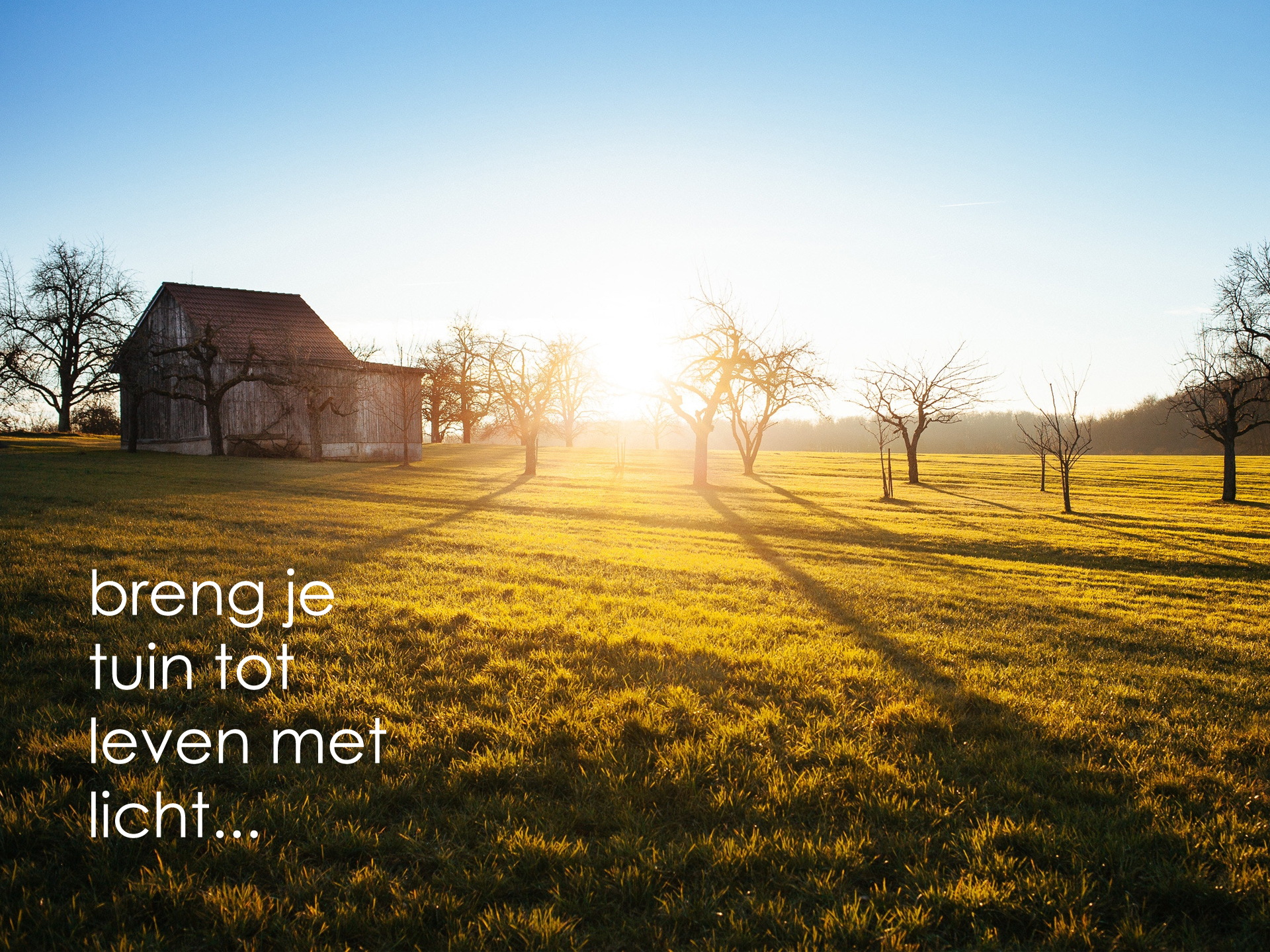Lightfactory_breng_je_tuin_tot_leven_met_licht_april_2019